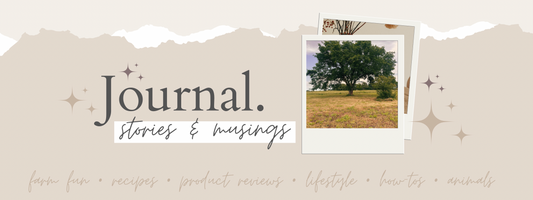 A Pond, a Pasture, and a Tree Named Polly—The Start of Our Farm